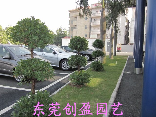 搖錢樹