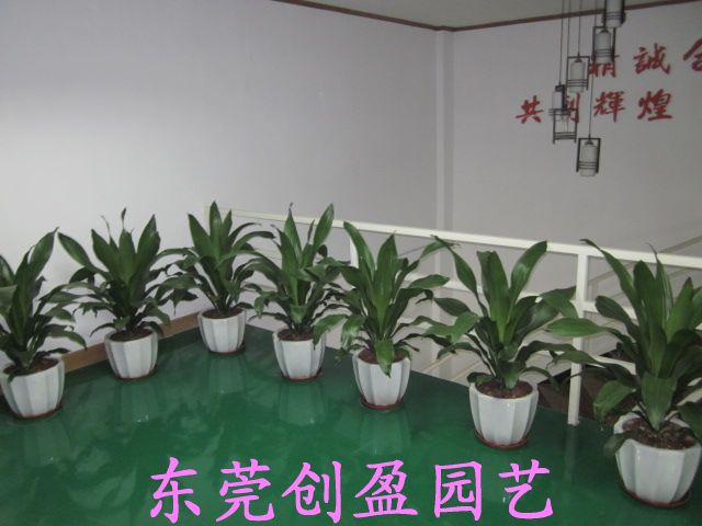 也門鐵