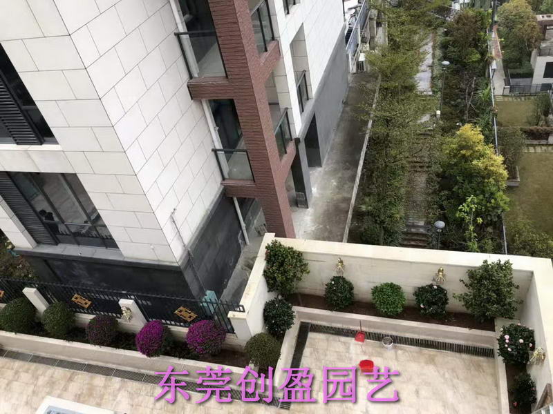 綠化養護