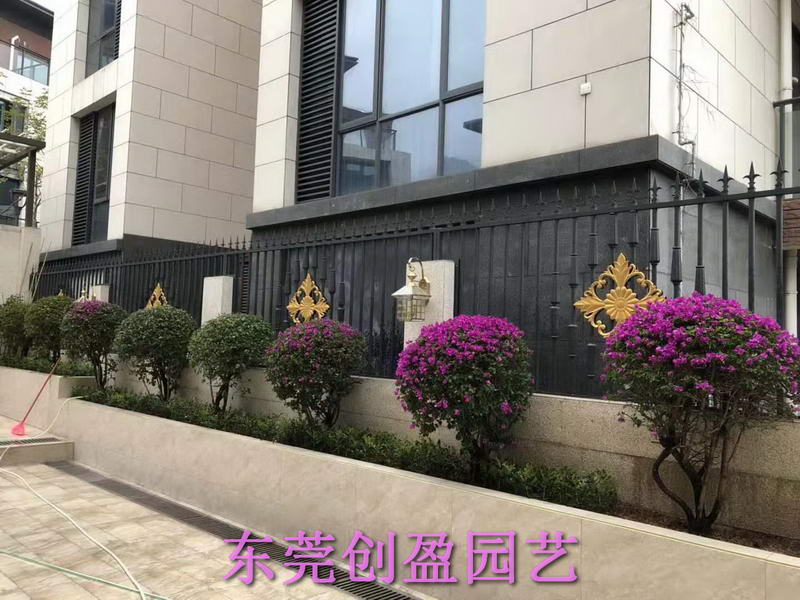綠化養護