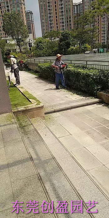 綠化養護